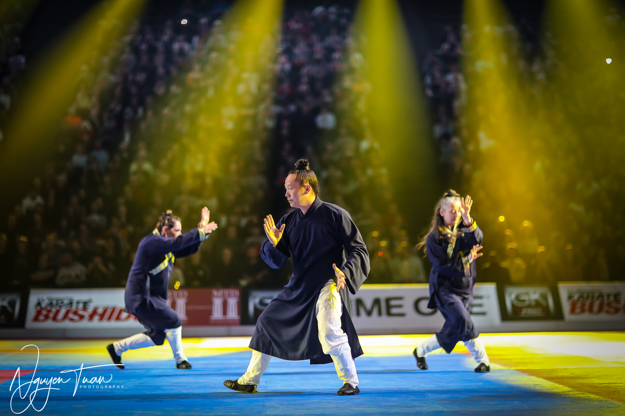 20190324 Festival des Arts Martiaux 2285